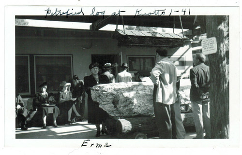 Petrified log at Knotts