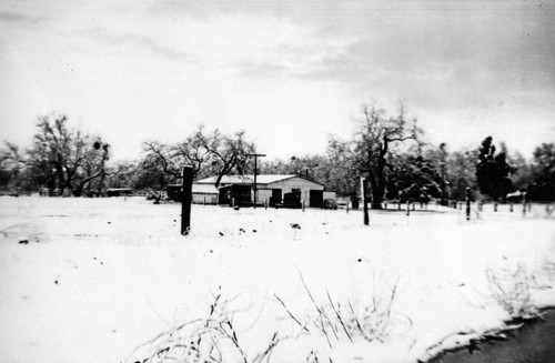 Irvine stables during the snowfall of January 1949