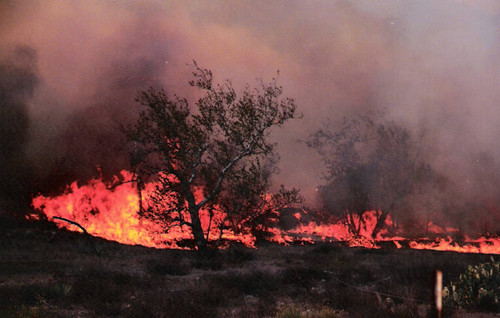 Santiago Fire, Modjeska Canyon