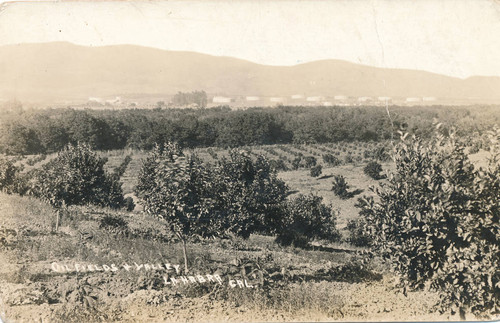 Oil fields and valley, La Habra