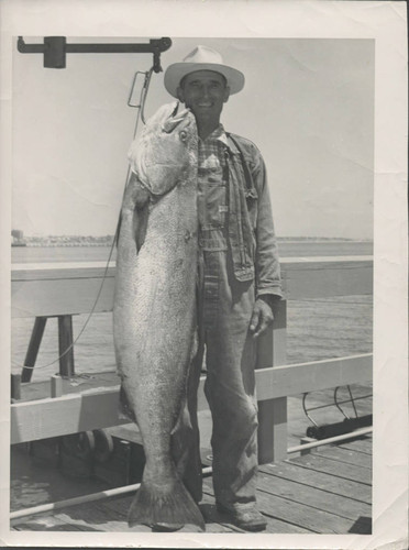 Sam Hennig posing with fish he caught off of Newport Beach, ca. 1960