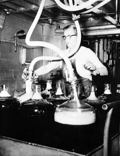 Utt Juice Company, Tustin, Ila Mae Primrose filling the 5-gallon bottles with juice coming from the kettles on the second floor, ca. 1970