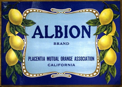 Albion Brand, Placentia Mutual Orange Association fruit crate label, ca. 1930