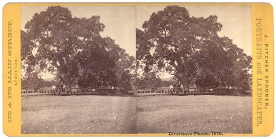 Livermore: "Livermore Picnic, 1876."