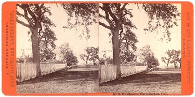 Farmington: "At S. Dunham's, Farmington, Cal."