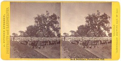 Farmington: "At S. Dunham's, Farmington, Cal."