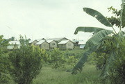 Housing, Jonestown, Guyana