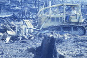 Mike Touchette on Bulldozer, Clearing Land, Jonestown, Guyana