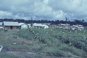 Housing and Crops, Jonestown, Guyana