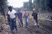 Clearing Land, Jonestown, Guyana