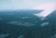 [Aerial views of Jonestown, Jim and Marceline Jones visiting Jonestown]