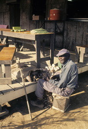 David "Pop" Jackson Cleaning Vegetables, Jonestown, Guyana