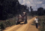 Peoples Temple Members on Tractor, Jonestown, Guyana