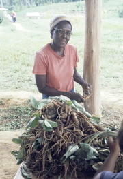 Woman Preparing Food, Jonestown, Guyana