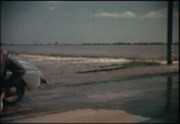 [Pelicans, Tulare Lake, flood scenes at Doyle]