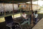 Peter Wotherspoon (Left) and Children, Jonestown, Guyana