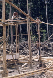 Guyanese Workers Doing Construction, Jonestown, Guyana