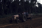 Peoples Temple Members on Tractor and Trailer, Jonestown, Guyana