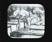 Scenes of California Slide #25