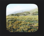 Scenes of California Slide #8