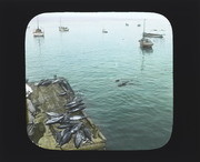 Scenes of California Slide #22