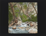 Scenes of California Slide #10