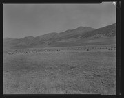 Olson Negatives, Box 010: Image 0012 (a)