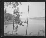 Olson Negatives, Box 002: Image 0066