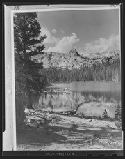 Olson Negatives, Box 002: Image 0118