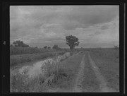 Olson Negatives, Box 009: Image 0265