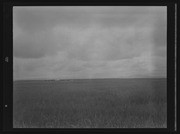 Olson Negatives, Box 009: Image 0262