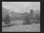 Olson Negatives, Box 010: Image 0261