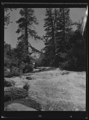 Olson Negatives, Box 010: Image 0131