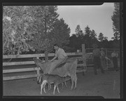 Olson Negatives, Box 003: Image 0043