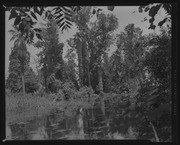 Olson Negatives, Box 010: Image 0097