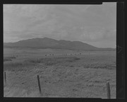 Olson Negatives, Box 010: Image 0271