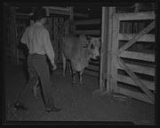 Olson Negatives, Box 008: Image 0031