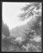 Olson Negatives, Box 002: Image 0094