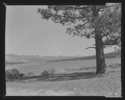 Olson Negatives, Box 010: Image 0231