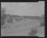 Olson Negatives, Box 010: Image 0274