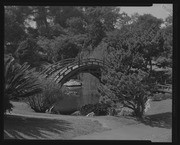 Olson Negatives, Box 010: Image 0144