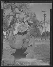 Olson Negatives, Box 006: Image 0087