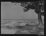 Olson Negatives, Box 009: Image 0272