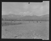 Olson Negatives, Box 010: Image 0224