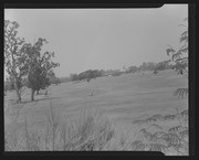 Olson Negatives, Box 010: Image 0269