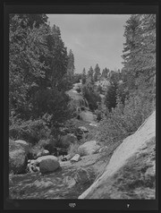 Olson Negatives, Box 010: Image 0161