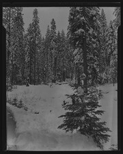 Olson Negatives, Box 009: Image 0250