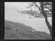 Olson Negatives, Box 010: Image 0355