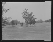 Olson Negatives, Box 010: Image 0326