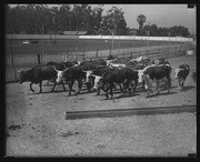 Olson Negatives, Box 008: Image 0004